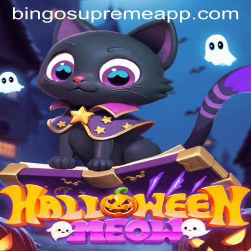 Exploring the Enchanting World of HalloweenMeow and BINGO SUPREME