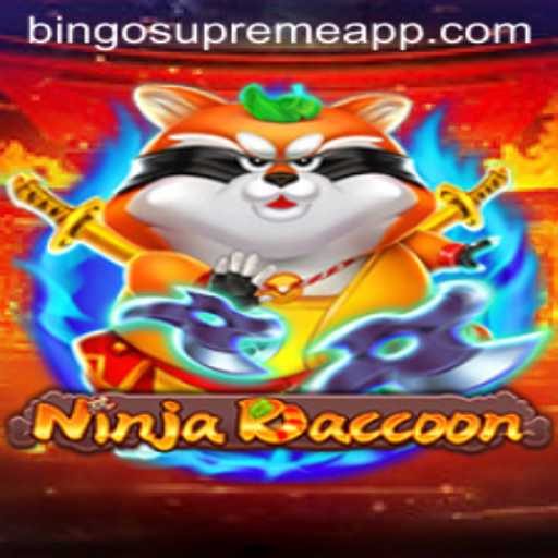 NinjaRaccoon: The Adventurous Quest Meets Bingo Supreme